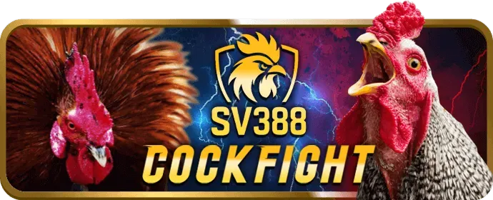 Hỗ trợ khách hàng 24/7 tại 388bet khuyến mãi